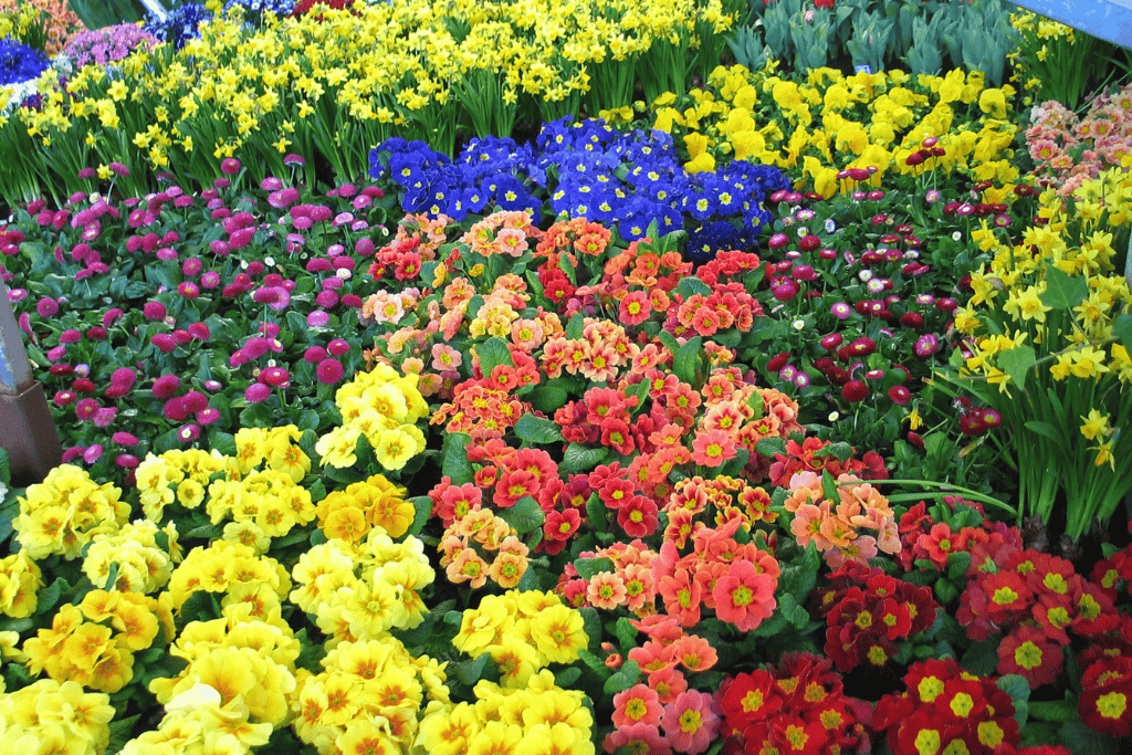 「いつもとちょっと違う」だけで、こどもの脳はぐんぐん育つ！ 