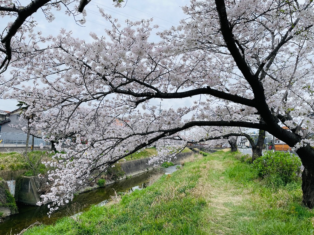 どんな方にプログラムを受けていただきたいか