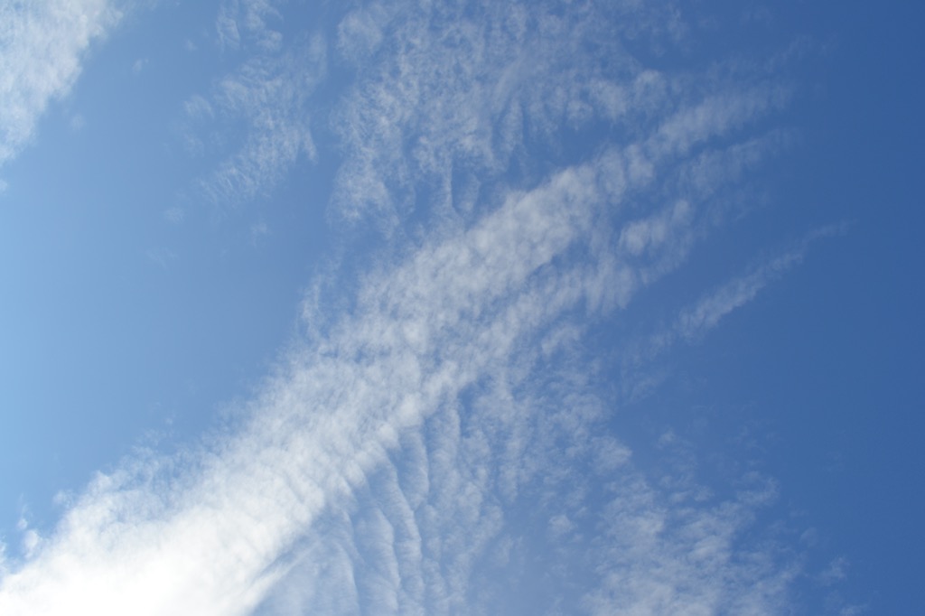 2021年スタート！！