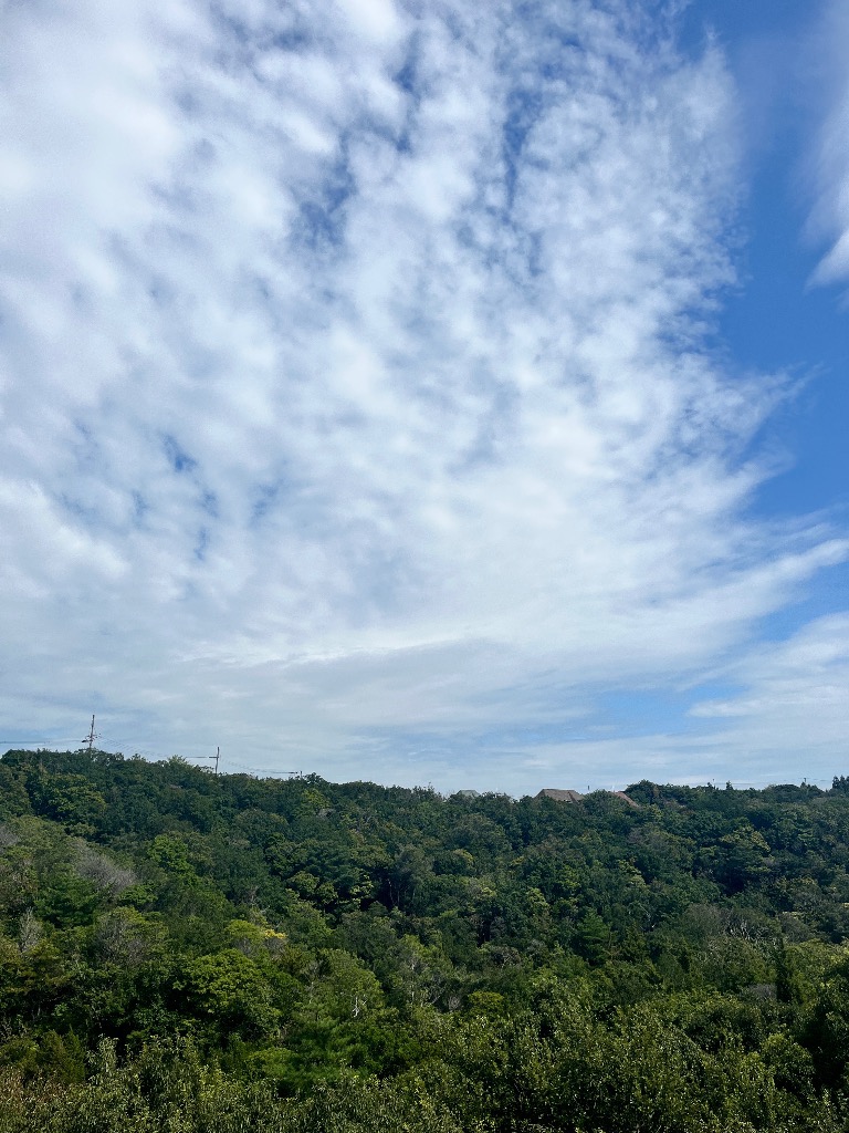 子どもの未来をひらく“想像力”の引き出し方