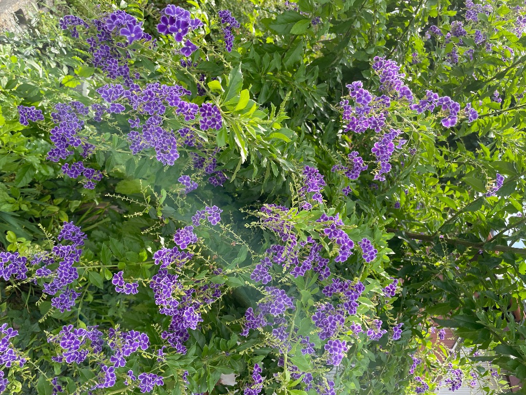 今は歩ける様になっていますけど、小さい時に何か特別に取り組んでいたことはありましたか？