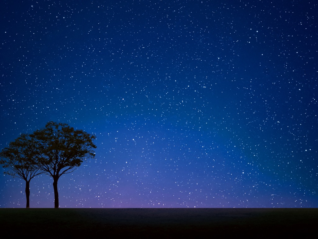 無料レッスン体験会のお知らせ☆