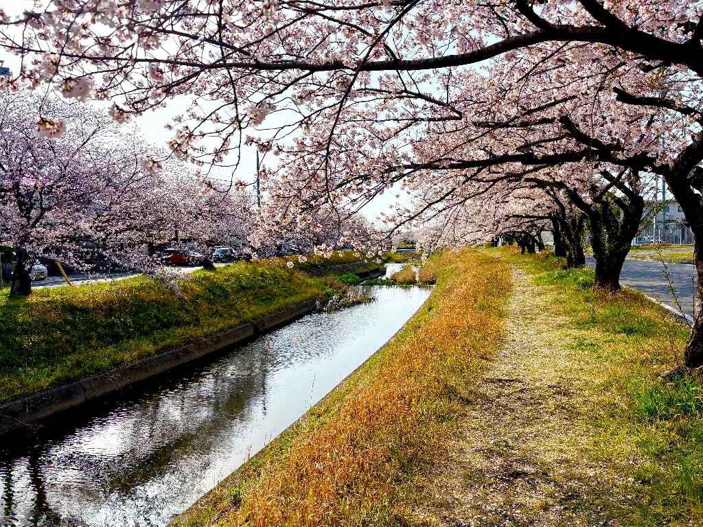 脳は変われる！脳の可塑性についてもう一度