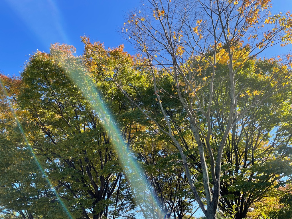 赤ちゃんの発達basicクラス