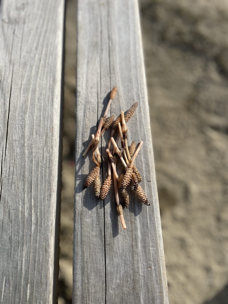 【知らないと損する】自閉症など発達障害を改善するために大切なこと