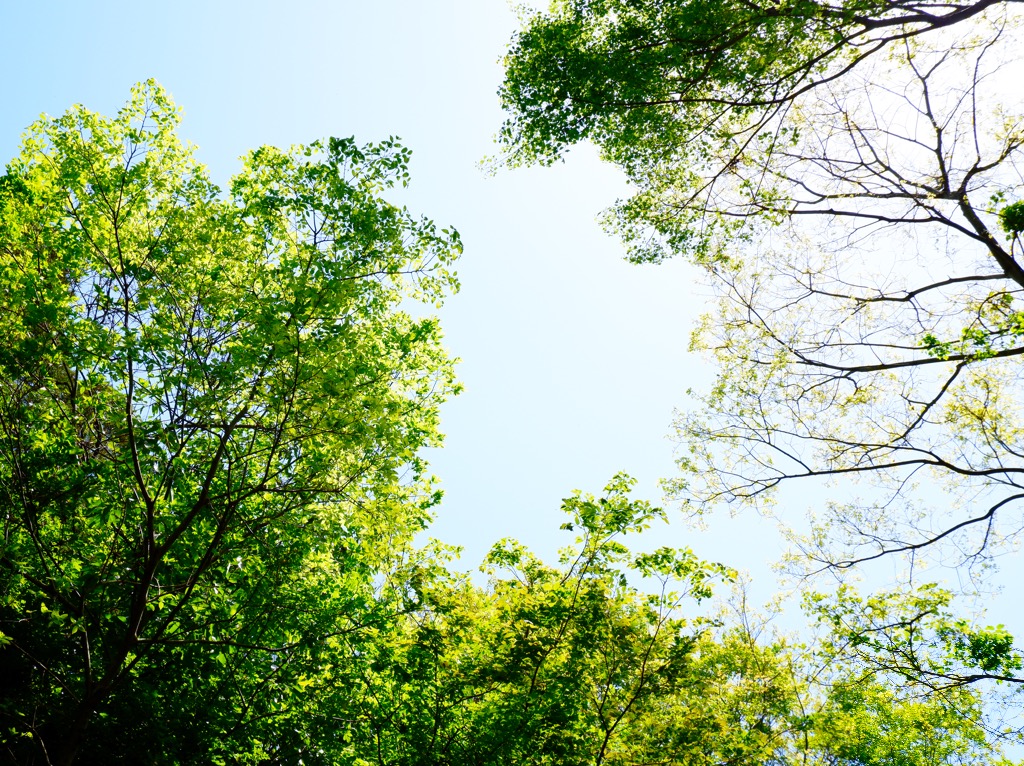 【スペシャルニーズのこども達への情報サイトにご掲載いただきました✨】