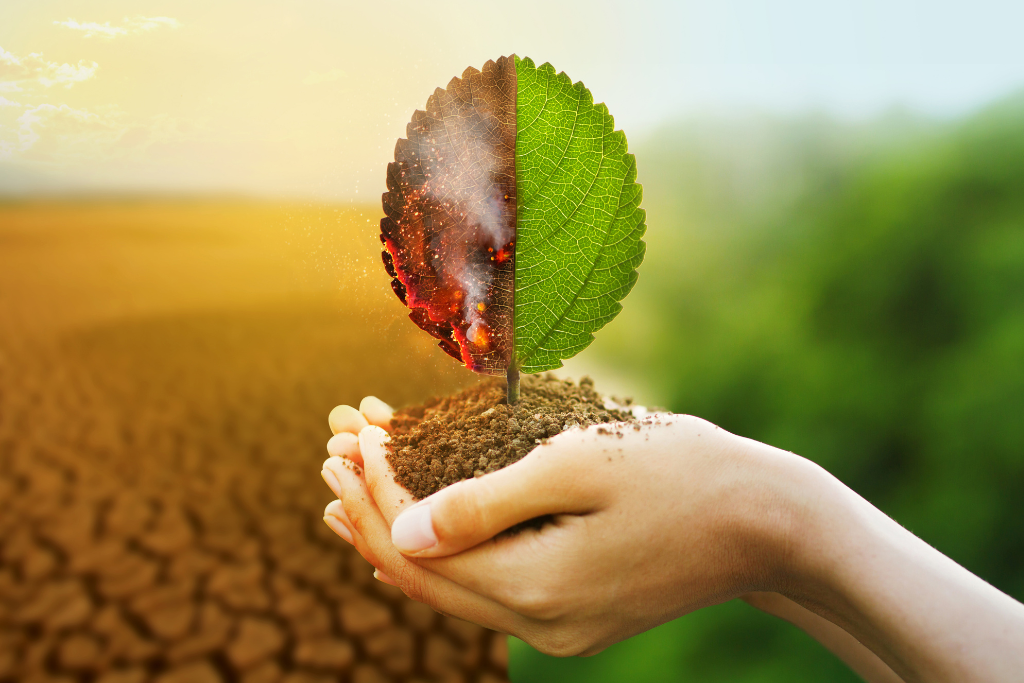 親御さんもビックリ！「なぜこんなに身体が変わるの？！」