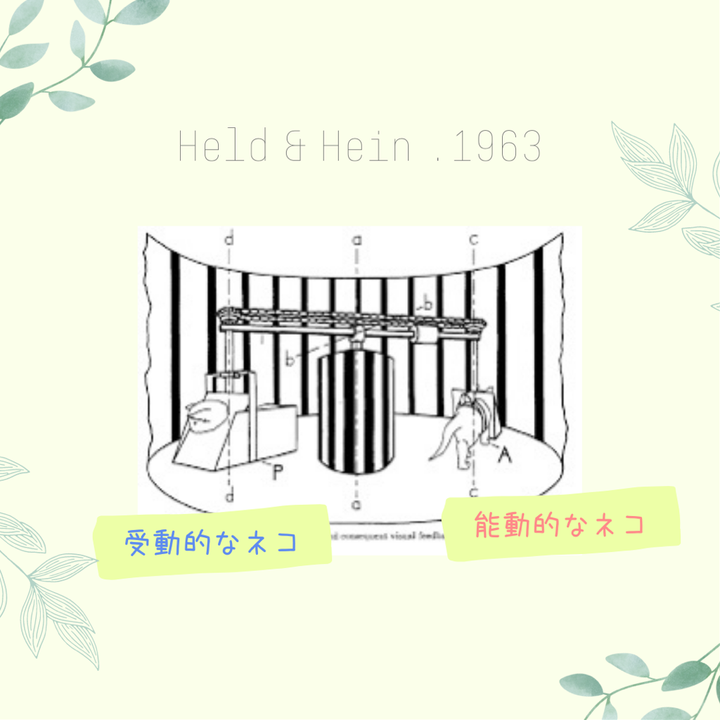 動きを増やし、認知面を高めるコツ！！
