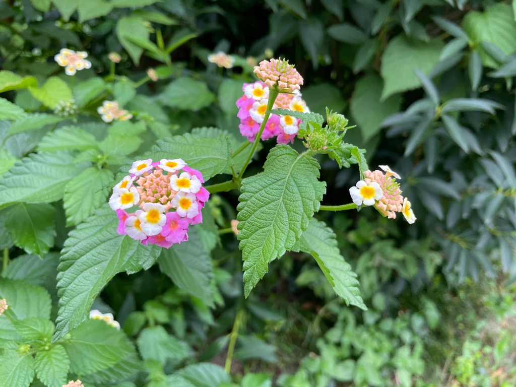 京都出張レッスン☆