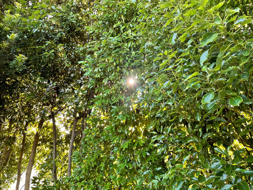 気持ちが弱った時…だからこそ見えること