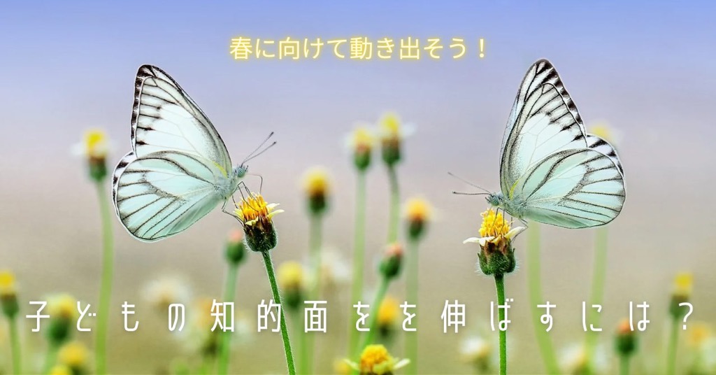 【4期募集開始】今だけ無料（無料期間は終了しています）で体験会を開催しています！