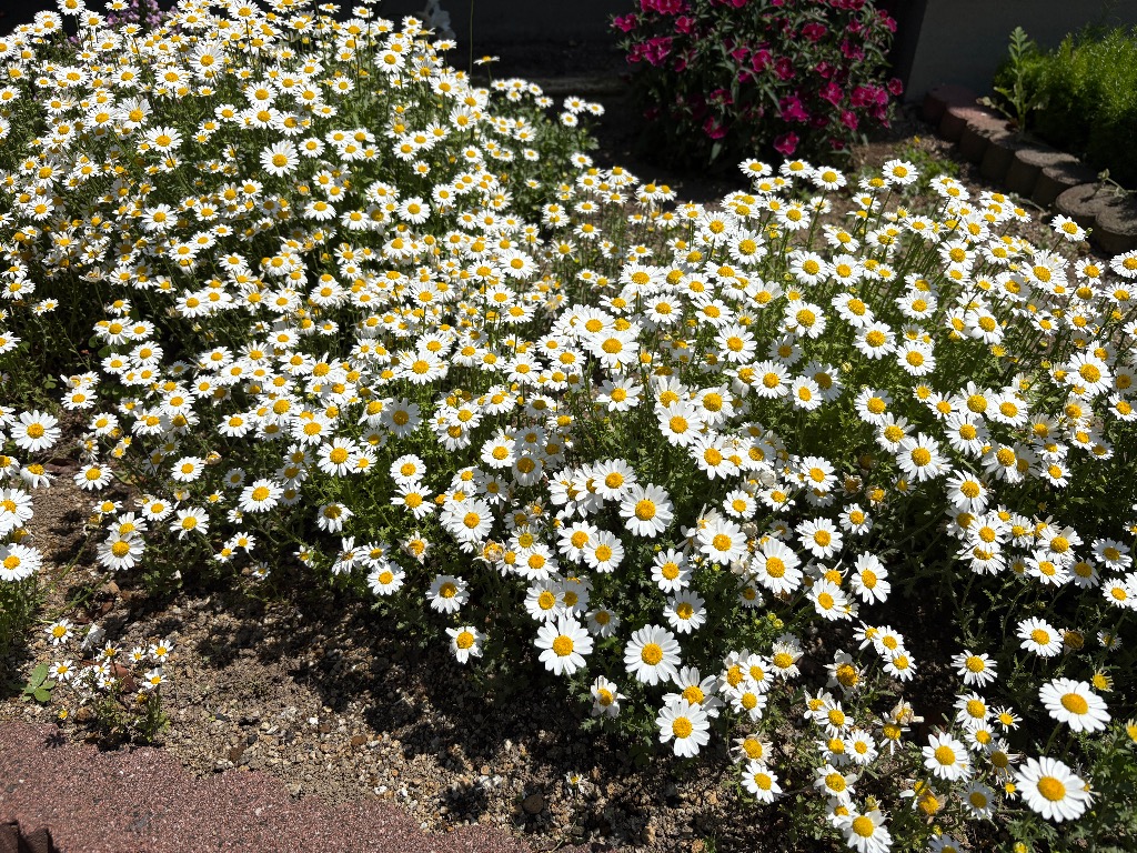 どんな子でも必ず変化していける！