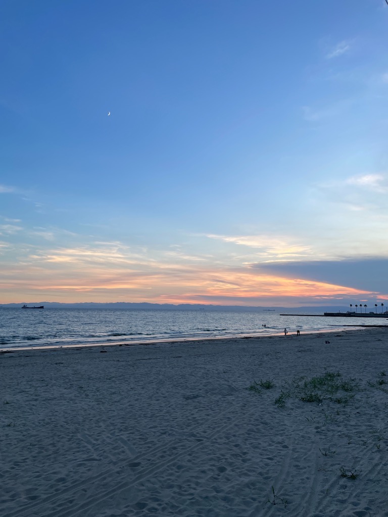 運動発達無料オンラインセミナー開催しました！