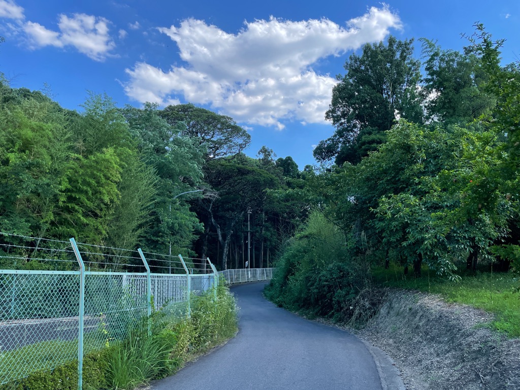 子どもの基礎感覚を高める方法