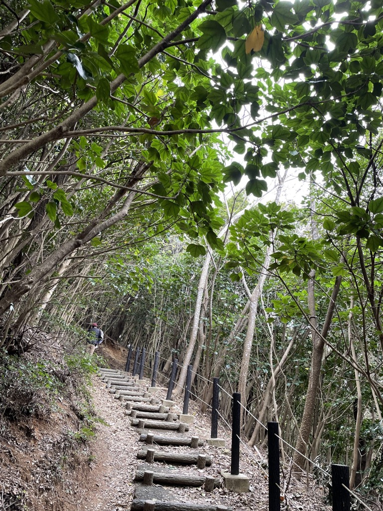 こどもの“知的面”を伸ばすには？