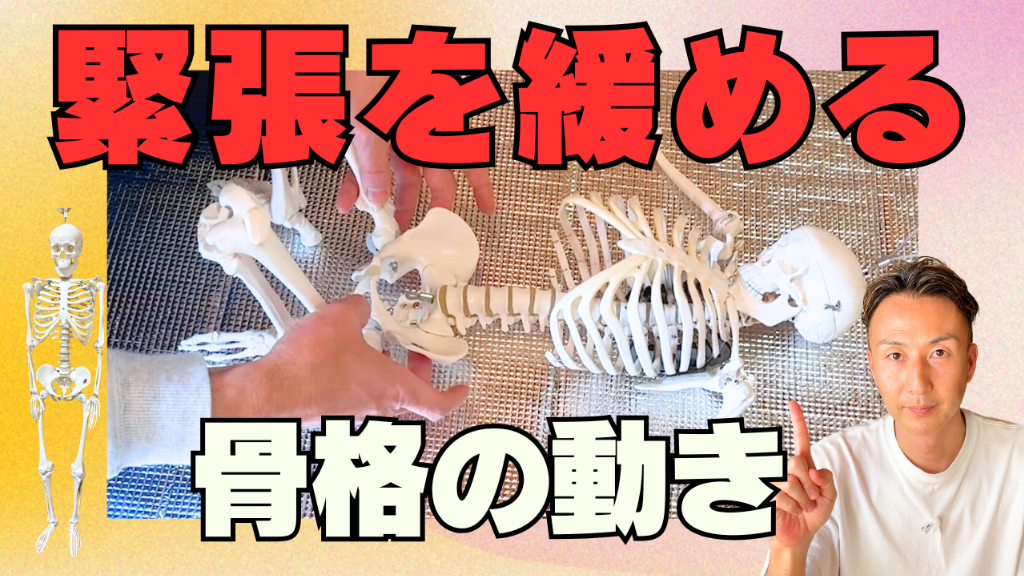 【新メンバーと解説！】骨盤の動きを引き出すための足からのアプローチ