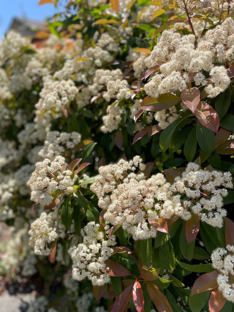 病気の９割は歩くことで治る？！