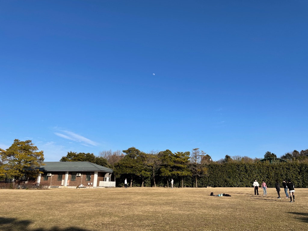 こどもの能力を開花させる一番大切なもの