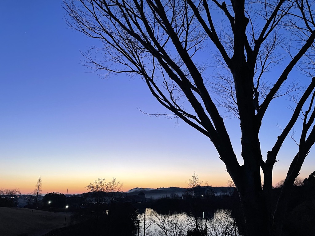 動きが増えるとこどもは楽しい！！