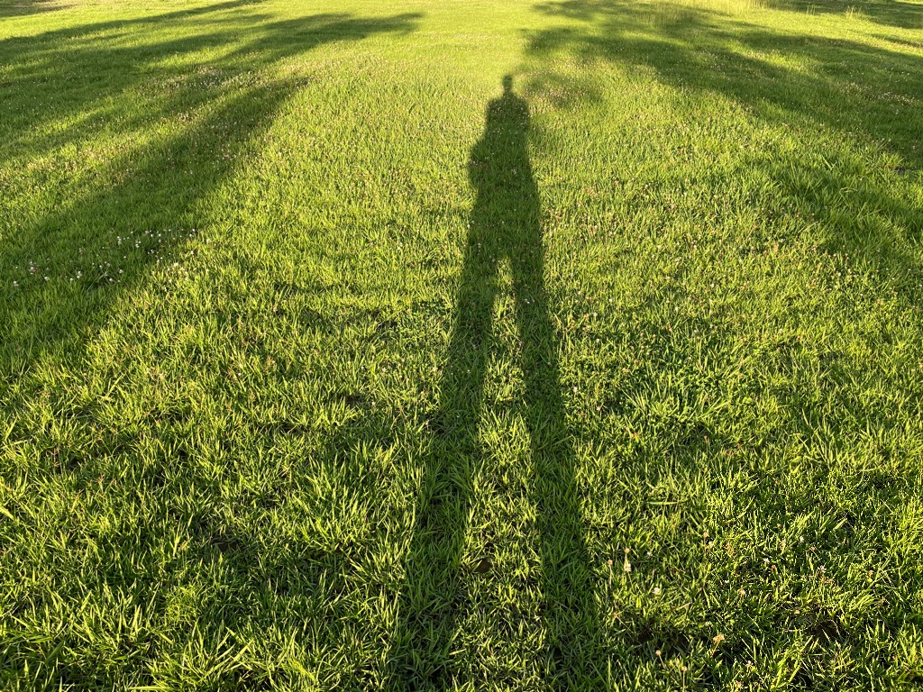 こどもの動きを増やすボディイメージの作り方