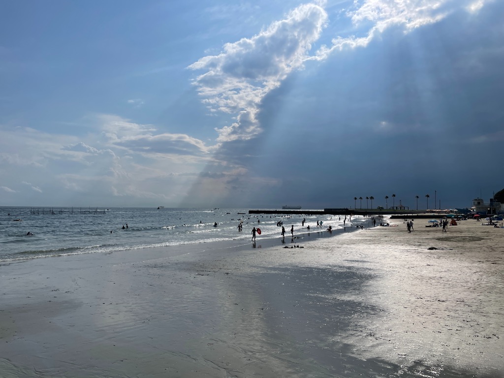 認知面を発達させる運動と脳の関係