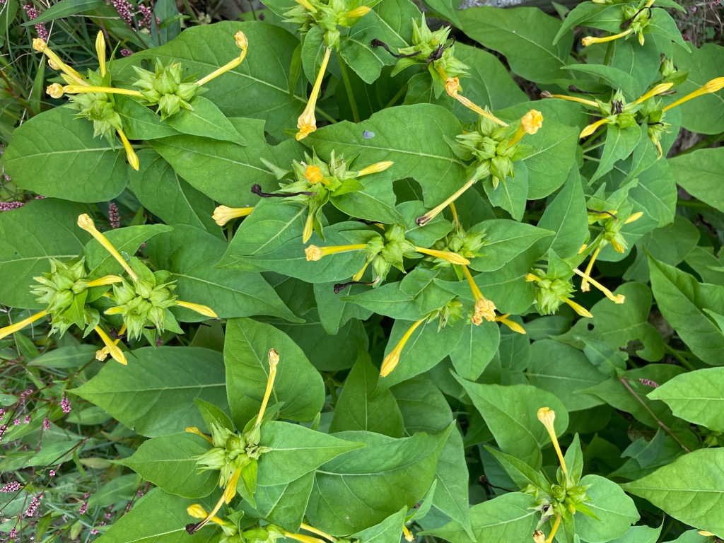 子どもをコントロールしすぎない